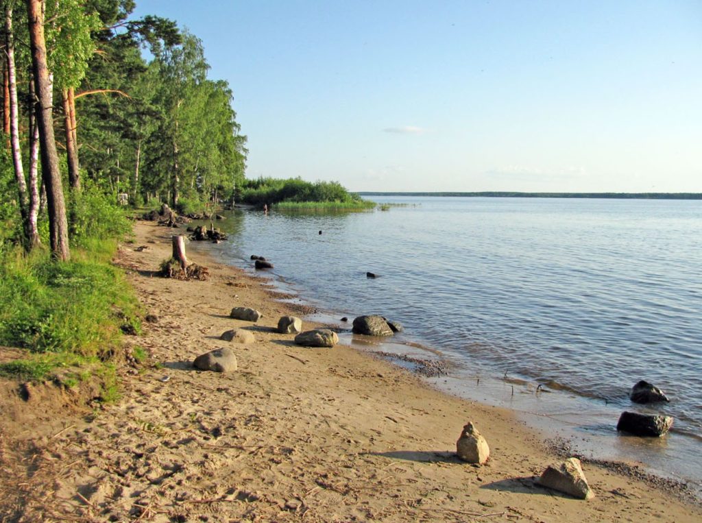 Рыбинское водохранилище фото летом