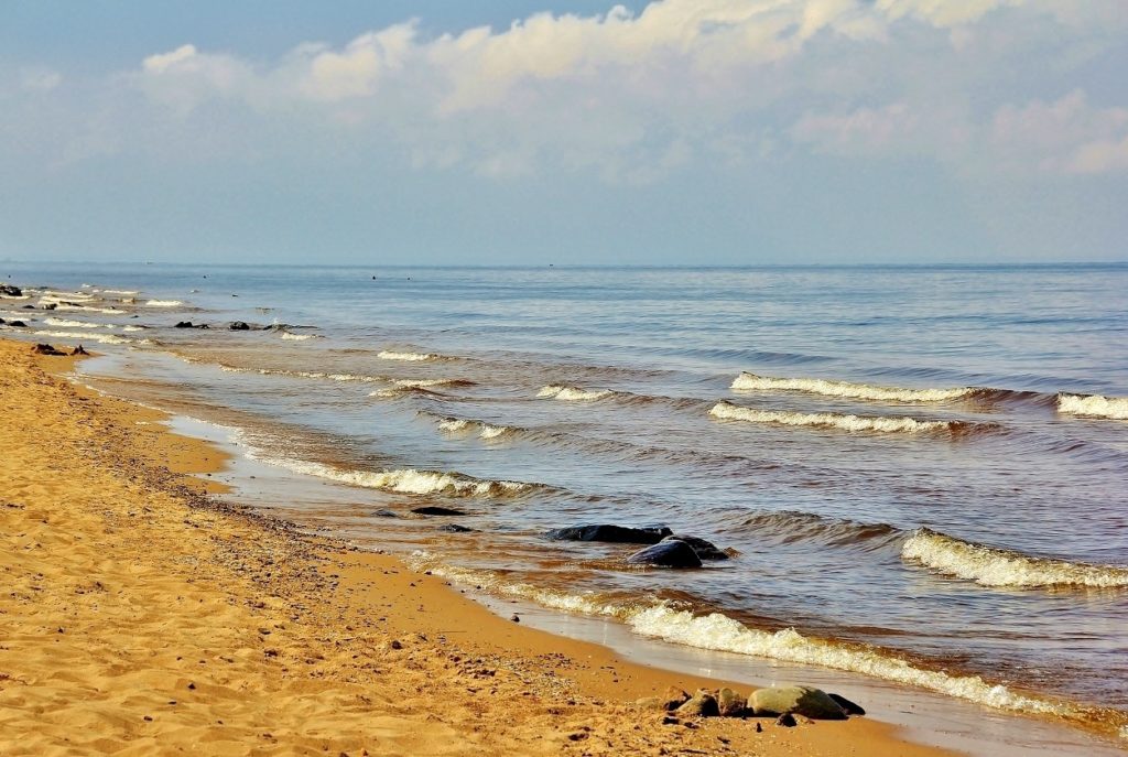 Рыбинское водохранилище отдых фото