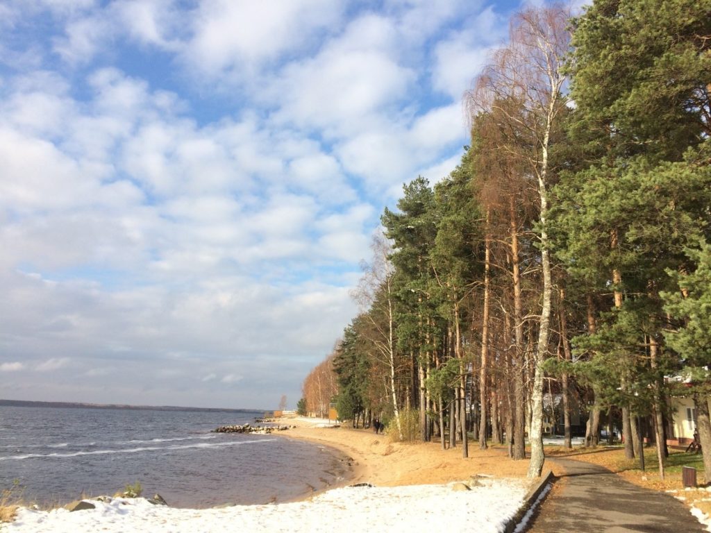 Рыбинское водохранилище отдых фото